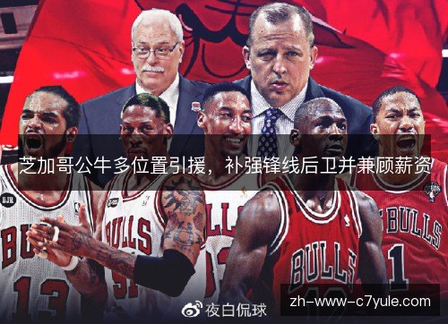 芝加哥公牛多位置引援，补强锋线后卫并兼顾薪资